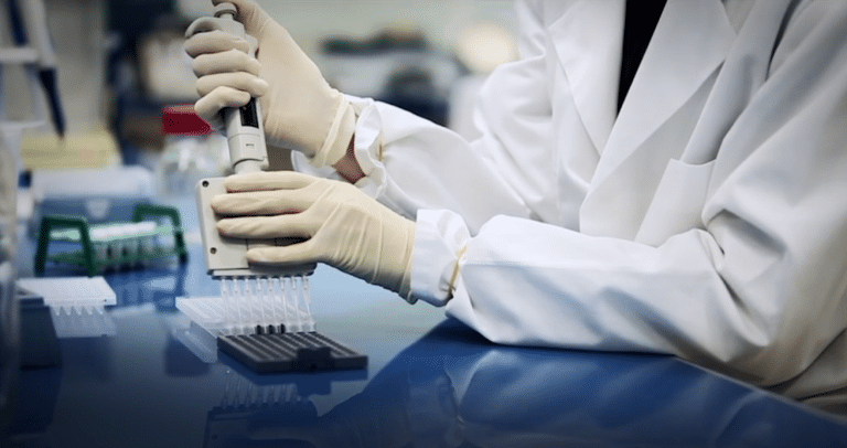 GenePred : conciliation du numérique avec la biologie