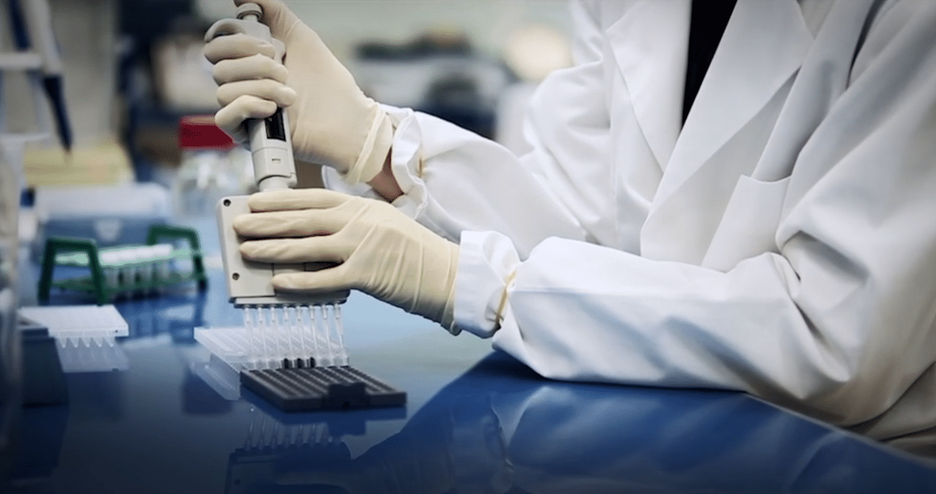 GenePred : conciliation du numérique avec la biologie
