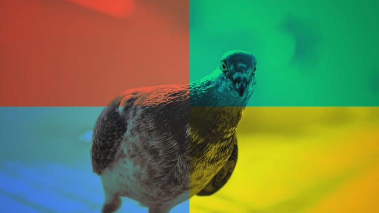 Le moteur de recherche français enfin doté de Google Pigeon