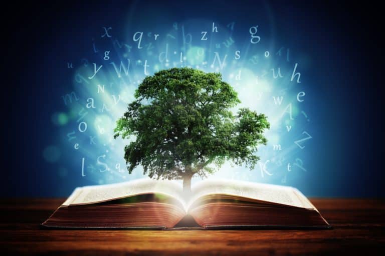 Un outil pour convaincre les prospects : le storytelling